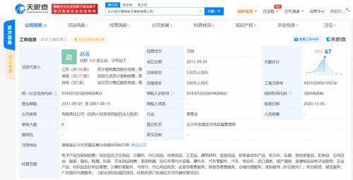 長(zhǎng)沙蘇寧易購(gòu)電子商務(wù)注銷(xiāo) 決議解散廣告代理業(yè)務(wù)